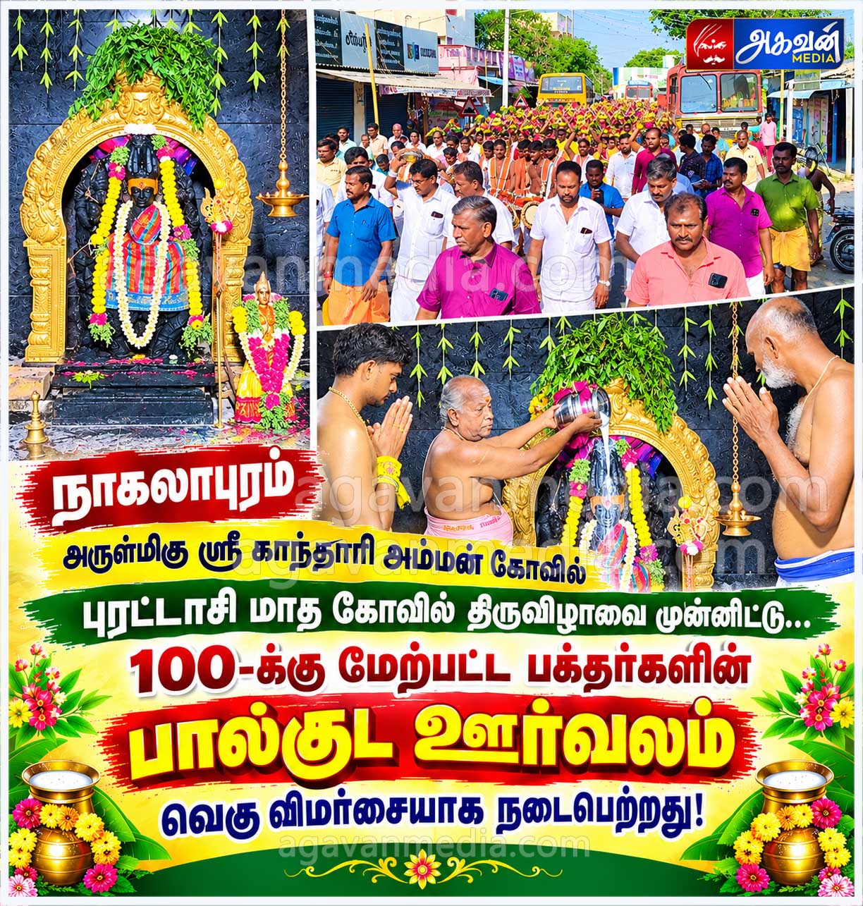 நாகலாபுரம் அருள்மிகு ஸ்ரீ காந்தாரி அம்மன் கோவில் புரட்டாசி மாத கோவில் திருவிழாவை முன்னிட்டு 100-க்கு மேற்பட்ட பக்தர்களின் பால்குட ஊர்வலம் வெகு விமர்சையாக நடைபெற்றது!