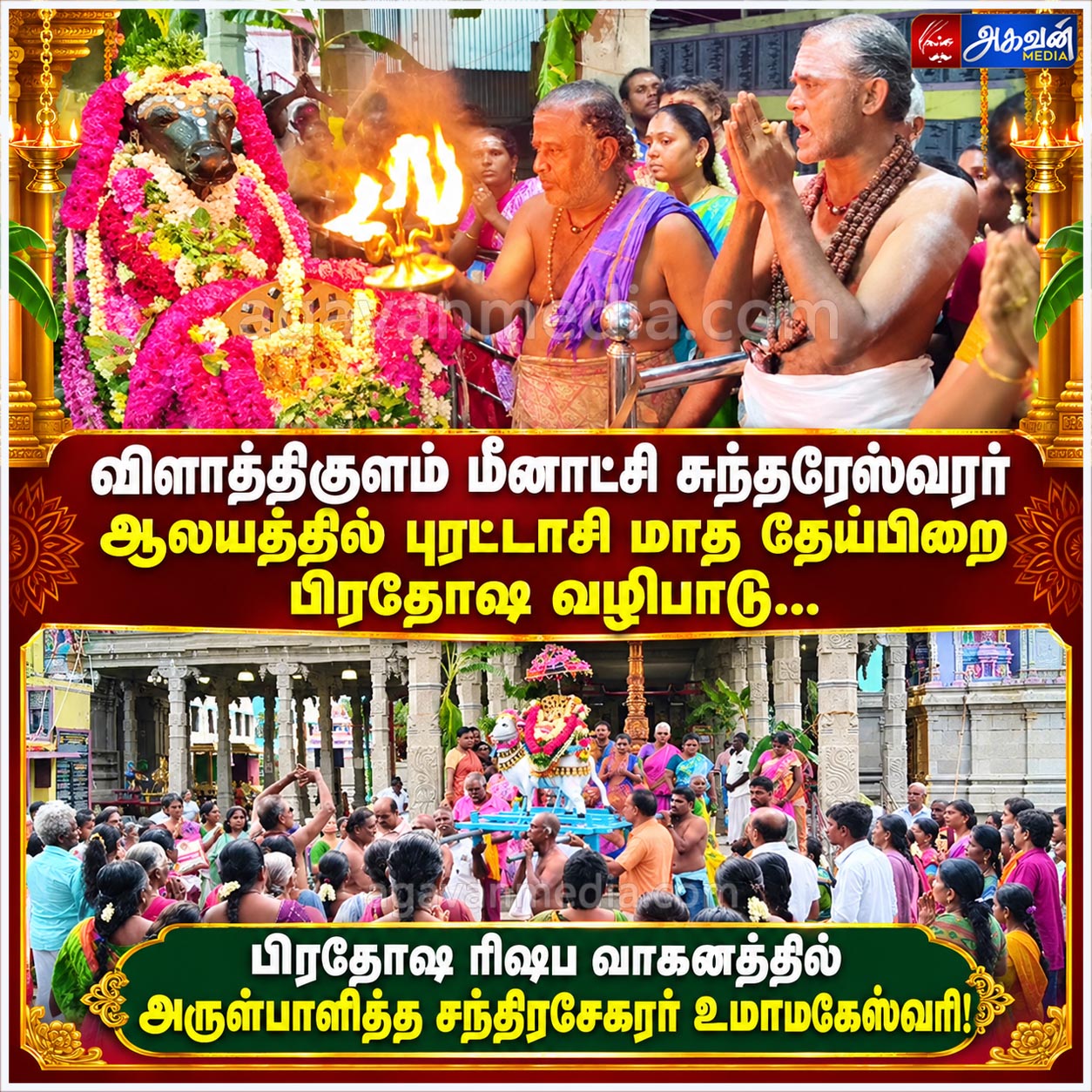 புரட்டாசி மாத தேய்பிறை பிரதோஷ வழிபாடு : பிரதோஷ ரிஷப வாகனத்தில் அருள்பாளித்த சந்திரசேகரர் உமாமகேஸ்வரி!